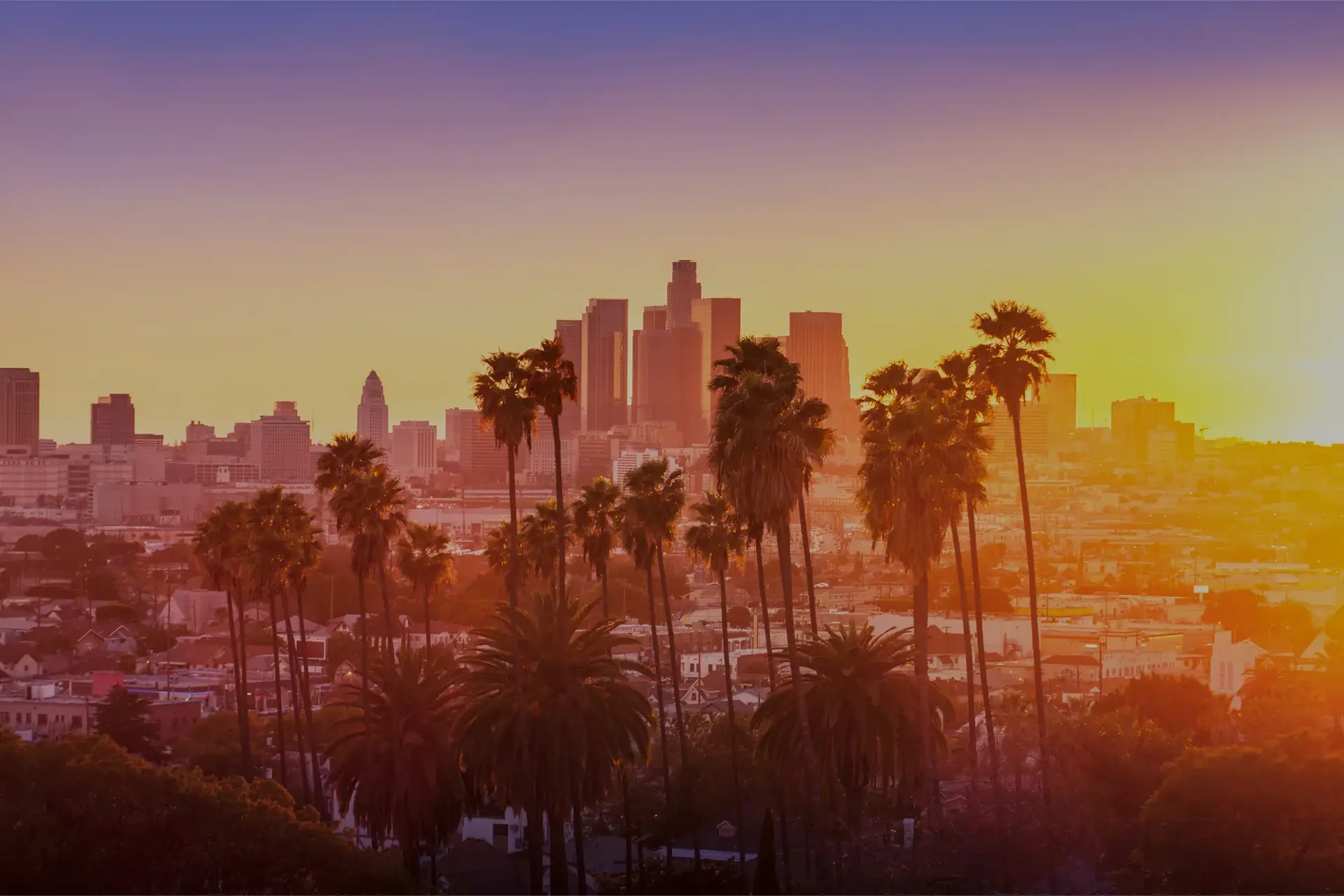 Downtown Los Angeles skyline at sunset with palm trees in the foreground and a warm, orange glow in the sky.