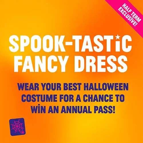 Carousel Asset Fancy Dress